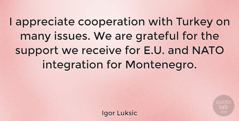 Igor Luksic Quote About Appreciate, Cooperation, Receive, Turkey: I Appreciate Cooperation With Turkey...