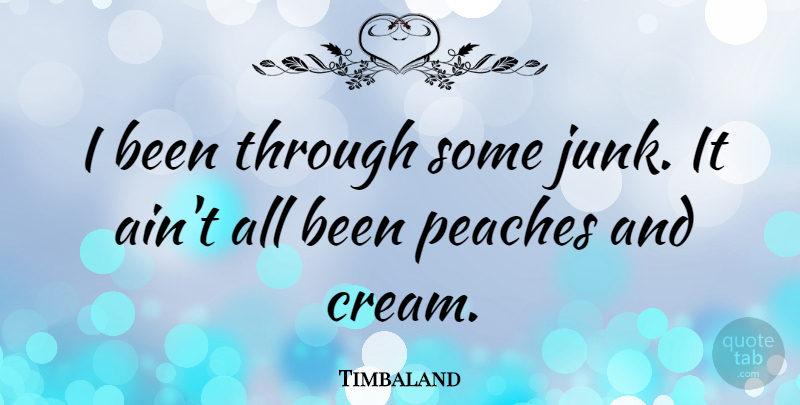Timbaland Quote About Junk, Peaches, Cream: I Been Through Some Junk...