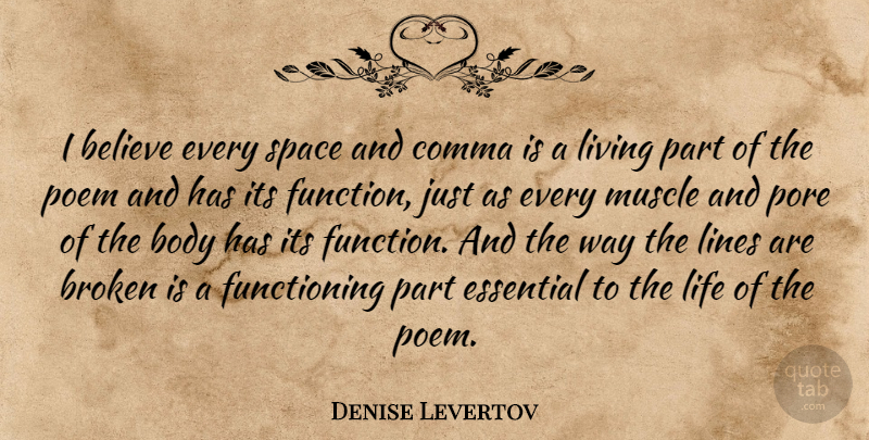 Denise Levertov Quote About Believe, Space, Broken: I Believe Every Space And...