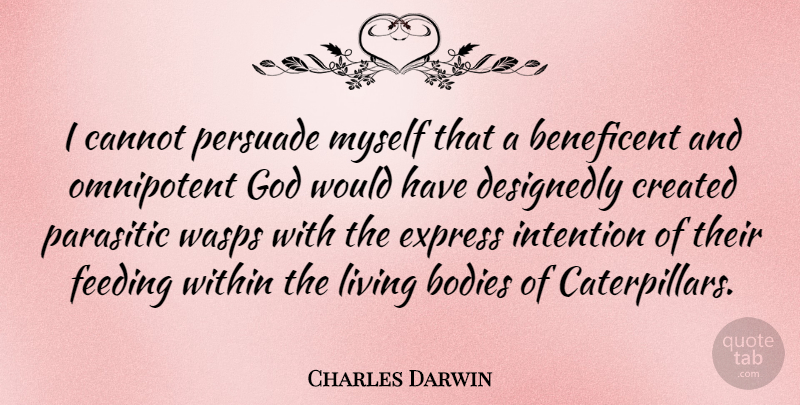 Charles Darwin Quote About God, Garden, Thinking: I Cannot Persuade Myself That...
