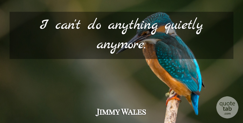 Jimmy Wales Quote About I Can: I Cant Do Anything Quietly...