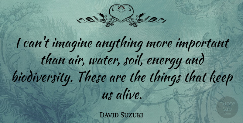 David Suzuki Quote About Air, Water, Important: I Cant Imagine Anything More...