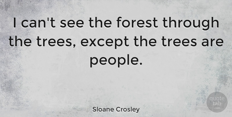 Sloane Crosley Quote About People, Tree, Forests: I Cant See The Forest...