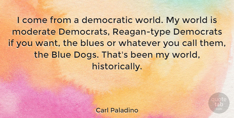 Carl Paladino Quote About Call, Democratic, Democrats, Moderate, Whatever: I Come From A Democratic...