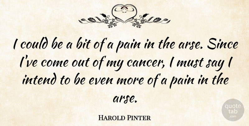 Harold Pinter Quote About Pain, Cancer, Arses: I Could Be A Bit...