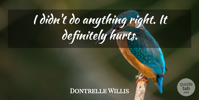 Dontrelle Willis Quote About Definitely: I Didnt Do Anything Right...