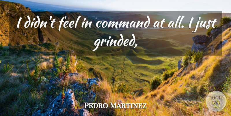 Pedro Martinez Quote About Command: I Didnt Feel In Command...