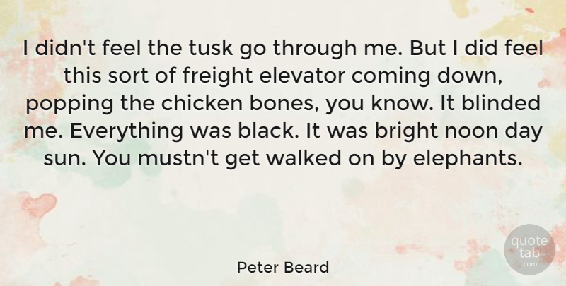 Peter Beard Quote About Blinded, Chicken, Coming, Elevator, Noon: I Didnt Feel The Tusk...