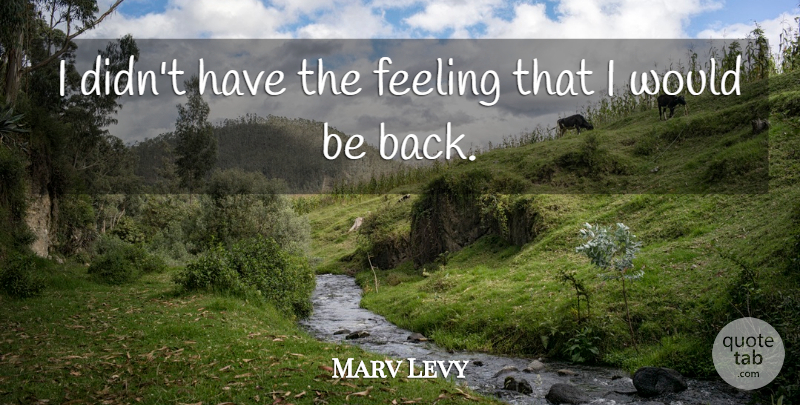 Marv Levy Quote About Feeling: I Didnt Have The Feeling...