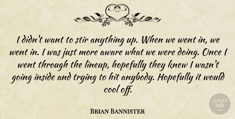 Brian Bannister Quote About Aware, Cool, Hit, Hopefully, Inside: I Didnt Want To Stir...