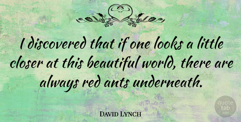 David Lynch Quote About Beautiful, Littles, Red: I Discovered That If One...
