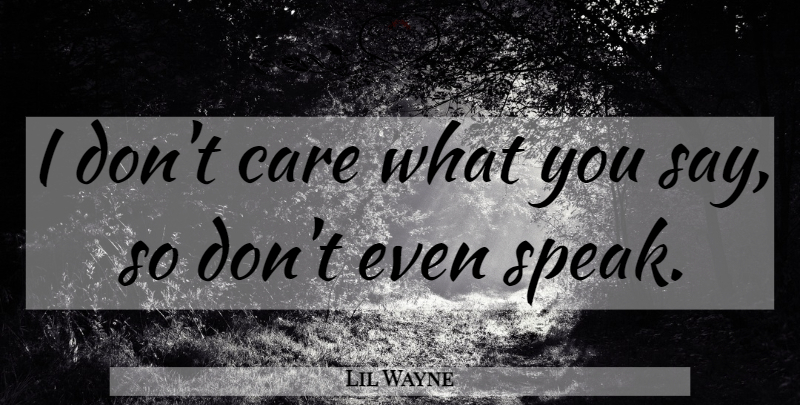 Lil Wayne Quote About Hate, Care, Speak: I Dont Care What You...