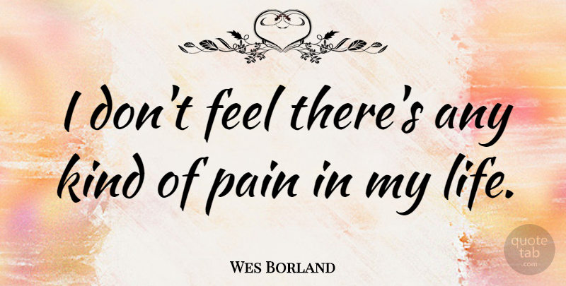 Wes Borland Quote About Pain, Kind, Feels: I Dont Feel Theres Any...