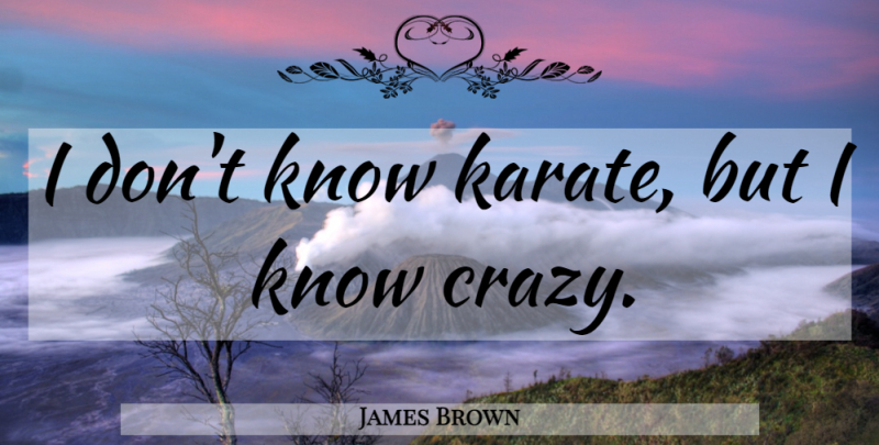 James Brown Quote About Revenge, Crazy, Karate: I Dont Know Karate But...