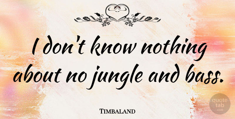 Timbaland Quote About Bass, Jungle, Knows: I Dont Know Nothing About...