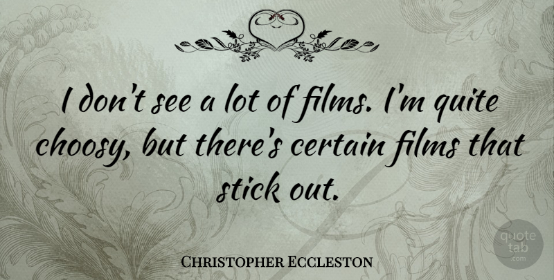 Christopher Eccleston Quote About Sticks, Film, Certain: I Dont See A Lot...