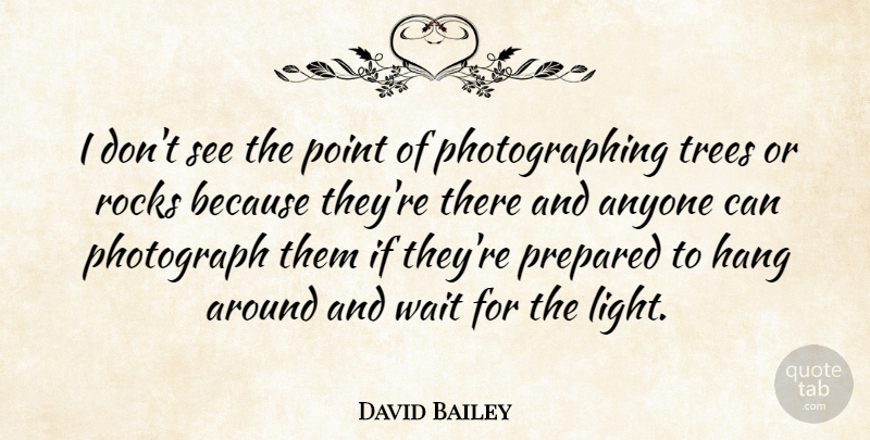 David Bailey Quote About Rocks, Light, Tree: I Dont See The Point...