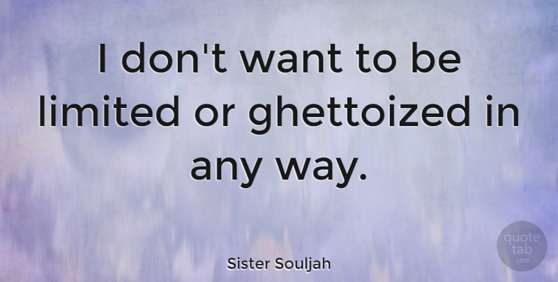 Sister Souljah Quote About Want, Way: I Dont Want To Be...