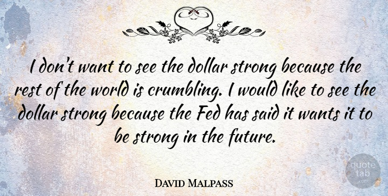 David Malpass Quote About Dollar, Fed, Future, Wants: I Dont Want To See...