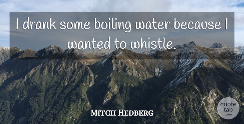 Mitch Hedberg Quote About Funny, Witty, Silly: I Drank Some Boiling Water...