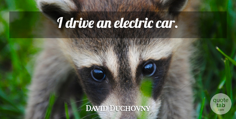 David Duchovny Quote About Car, Electric, Electric Car: I Drive An Electric Car...