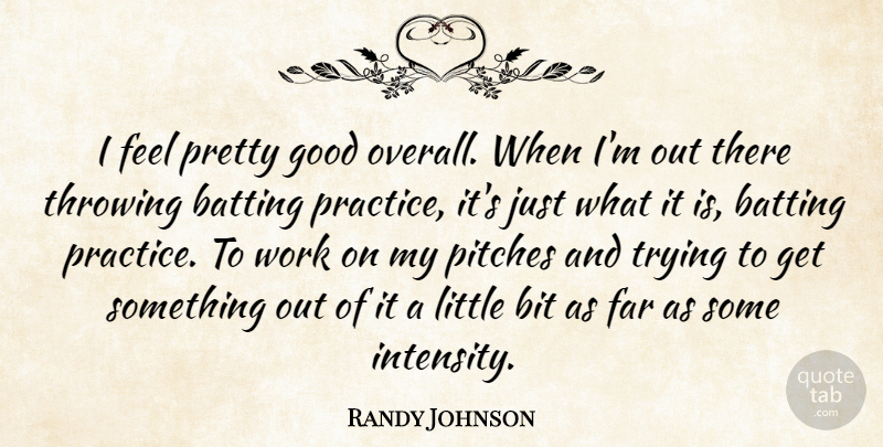 Randy Johnson Quote About Batting, Bit, Far, Good, Pitches: I Feel Pretty Good Overall...