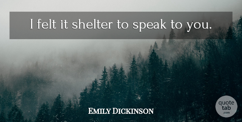 Emily Dickinson Quote About Inspirational, Relationship, Smile: I Felt It Shelter To...