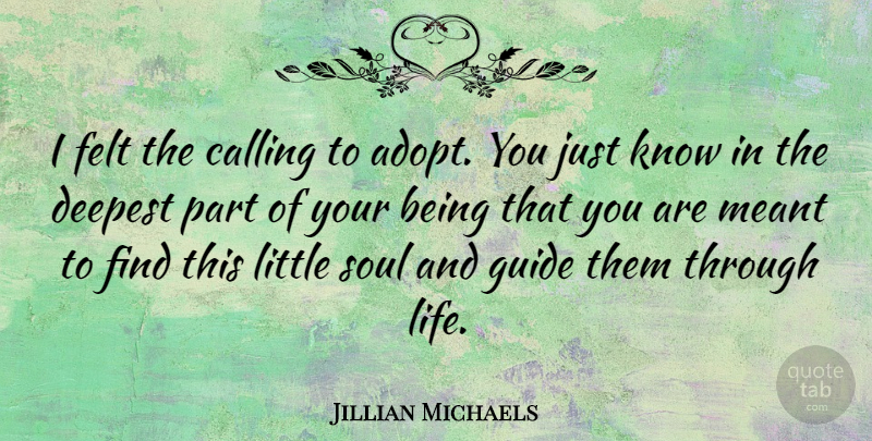 Jillian Michaels Quote About Soul, Calling, Littles: I Felt The Calling To...