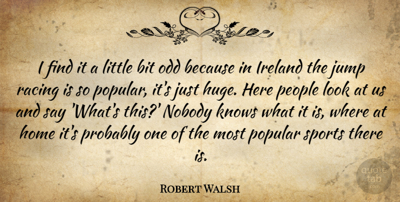 Robert Walsh Quote About Bit, Home, Ireland, Jump, Knows: I Find It A Little...