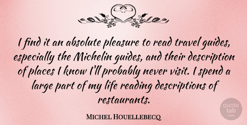 Michel Houellebecq Quote About Absolute, Large, Life, Places, Pleasure: I Find It An Absolute...