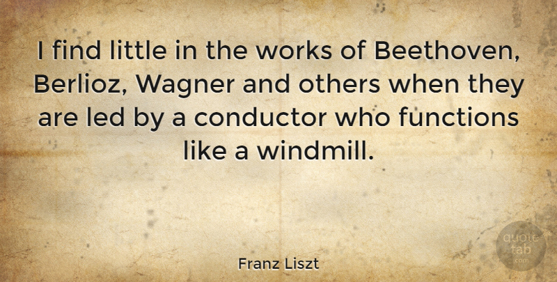 Franz Liszt Quote About Littles, Function, Windmills: I Find Little In The...