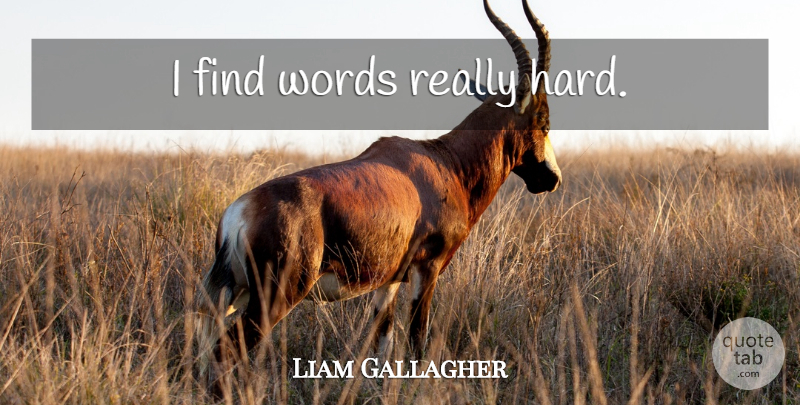 Liam Gallagher Quote About Hard: I Find Words Really Hard...