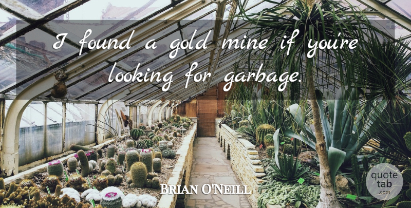 Brian O'Neill Quote About Found, Gold, Looking, Mine: I Found A Gold Mine...