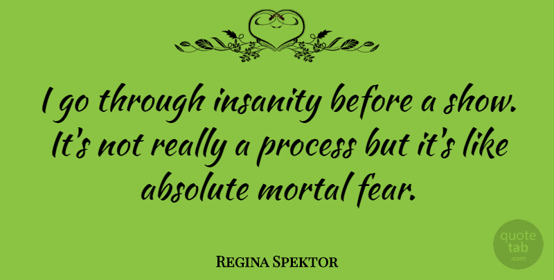 Regina Spektor Quote About Insanity, Process, Shows: I Go Through Insanity Before...