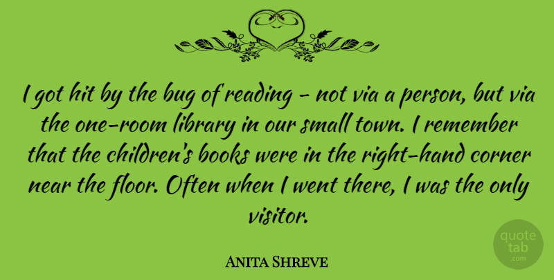 Anita Shreve Quote About Books, Bug, Corner, Hit, Near: I Got Hit By The...