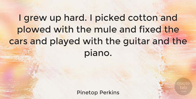 Pinetop Perkins Quote About Piano, Guitar, Car: I Grew Up Hard I...