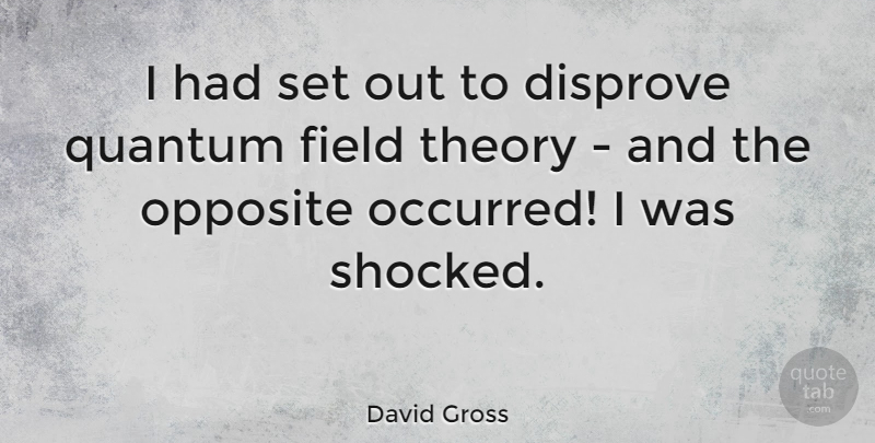 David Gross Quote About Disprove, Field, Theory: I Had Set Out To...