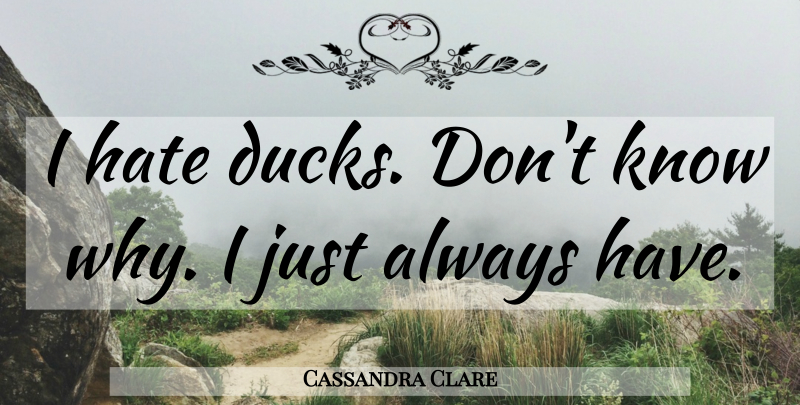 Cassandra Clare Quote About Hate, Ducks, Lost Souls: I Hate Ducks Dont Know...