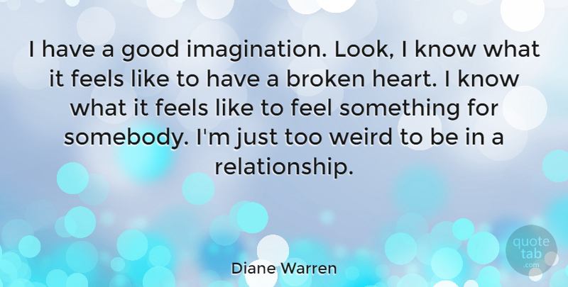 Diane Warren Quote About Broken Heart, Imagination, Looks: I Have A Good Imagination...