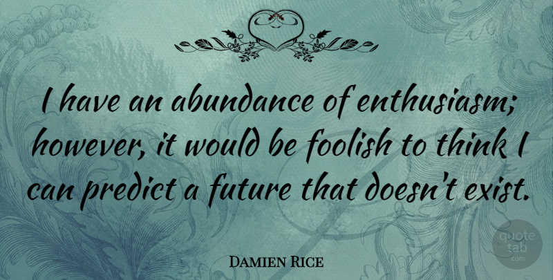 Damien Rice Quote About Abundance, Foolish, Future: I Have An Abundance Of...