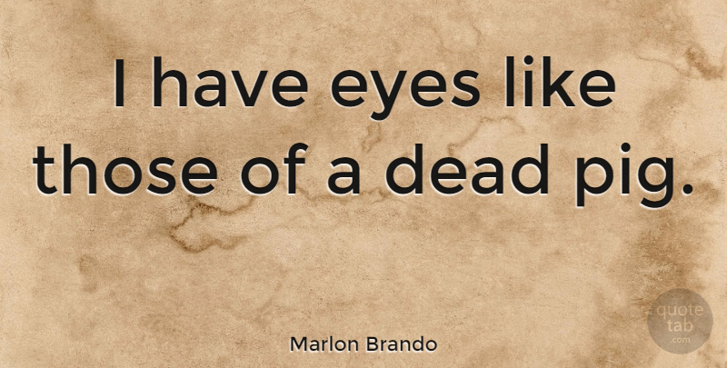 Marlon Brando Quote About Eye, Pigs, Faces: I Have Eyes Like Those...