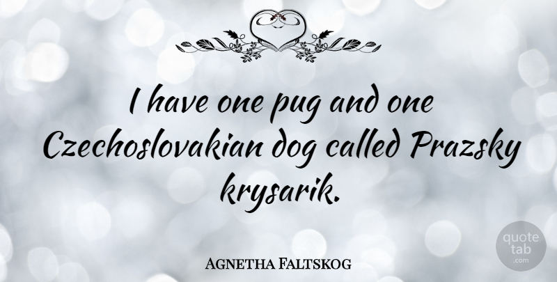 Agnetha Faltskog Quote About Dog, Pugs: I Have One Pug And...