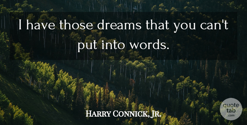 Harry Connick, Jr. Quote About Dreams: I Have Those Dreams That...