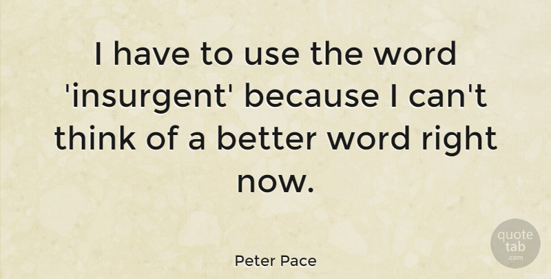 Peter Pace Quote About undefined: I Have To Use The...