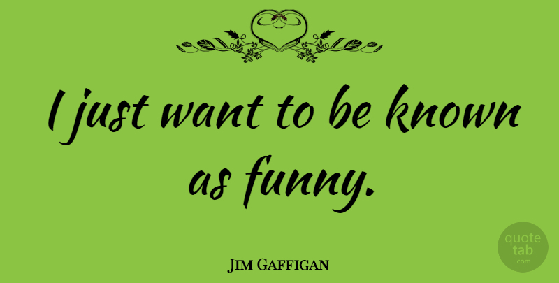 Jim Gaffigan Quote About Want, Known: I Just Want To Be...