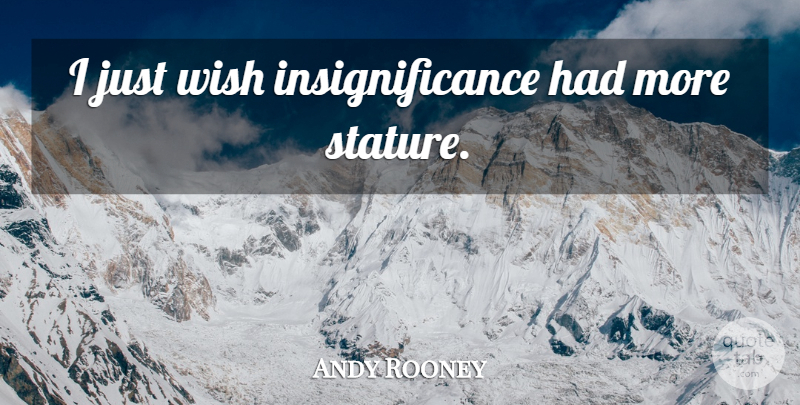 Andy Rooney Quote About Wish, Stature, Insignificance: I Just Wish Insignificance Had...