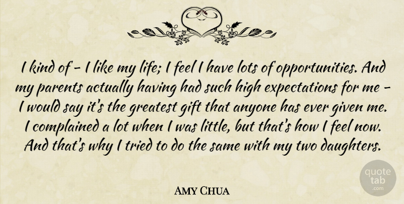 Amy Chua Quote About Mother, Daughter, Opportunity: I Kind Of I Like...