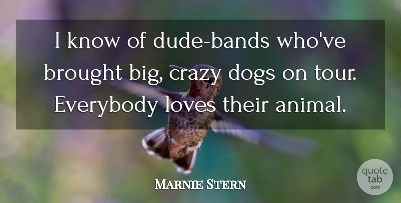 Marnie Stern Quote About Brought, Everybody, Loves: I Know Of Dude Bands...