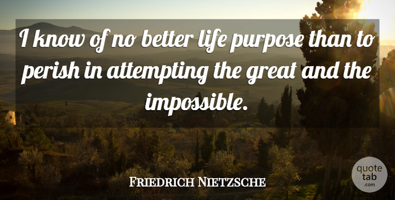 Friedrich Nietzsche Quote About Purpose, Impossible, Better Life: I Know Of No Better...
