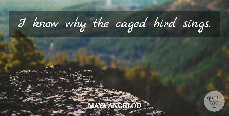 Maya Angelou Quote About Inspirational, Children, Book: I Know Why The Caged...